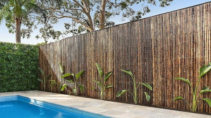 Bamboo Fencing